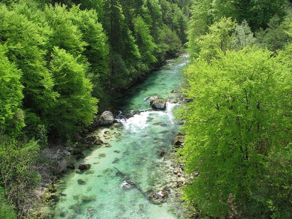 Sava River House - Apartments Bled Exterior foto